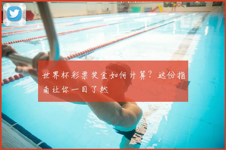 世界杯彩票奖金如何计算？这份指南让你一目了然