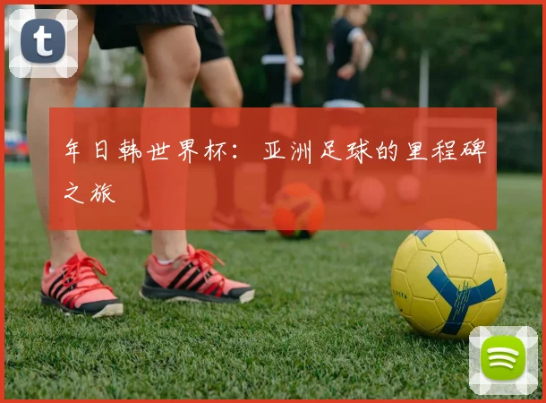 年日韩世界杯：亚洲足球的里程碑之旅