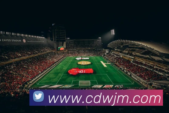 开云账号中心登录入口平台生态图