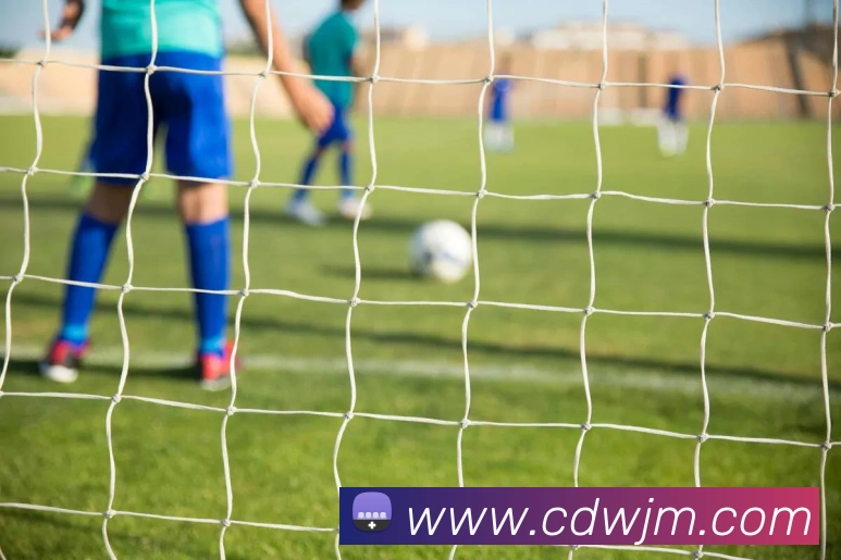 开云账号中心登录入口全站App